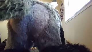 Fursuit farts (9)