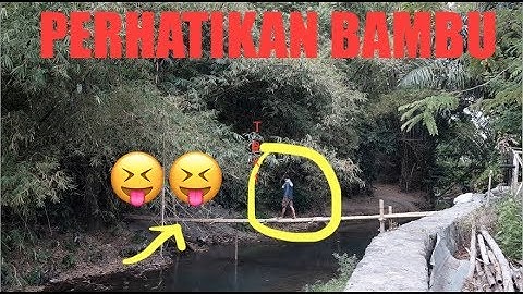 PITULASAN DOES UNIVERSITY 73 #DOES eps 686
