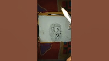 Lion drawing short video 🦁.Please like share and subscribe #YtShorts#SHorts