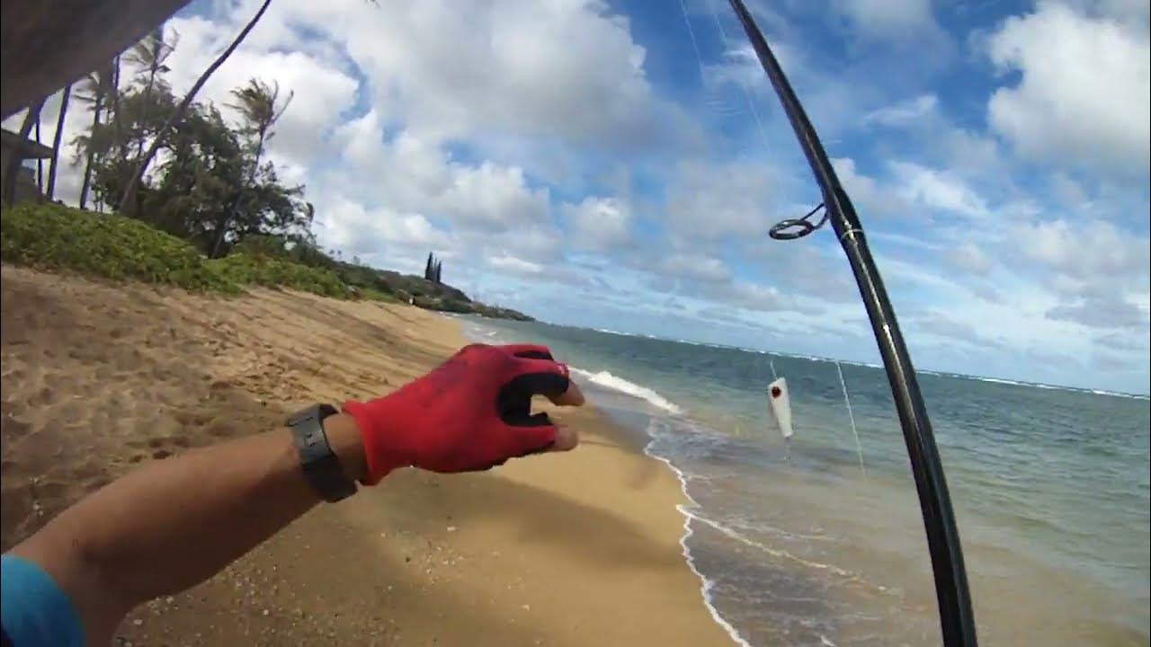 Toadfish combo Oops YouTube