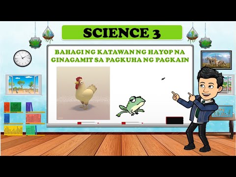 Parte ng mga Hayop na Ginagamit sa Pagkuha ng Pagkain - SCIENCE 3 - QUARTER 2