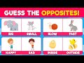 Guess the opposite word  30 antonyms every kid should know