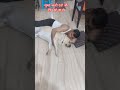 #dogbreed #shiro #labrador #pets #labradorretriever #dog #funny