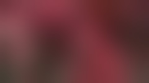 06 Inflow Control Extrahepatic Approach, Right Hepatic Artery and Portal Vein