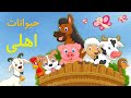     حیوانات اهلی