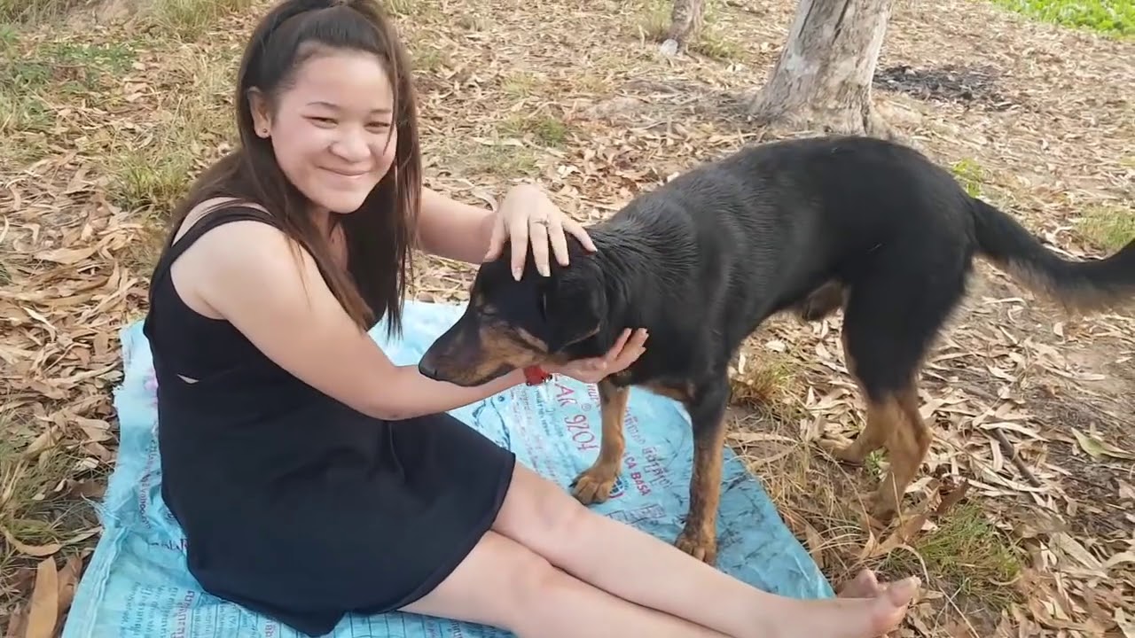 WOW Beautiful Girl Give Khmer Cake and Play With Smart Dog How to Play