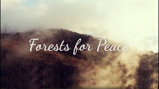 Forest For Peace - Tree Planting Project