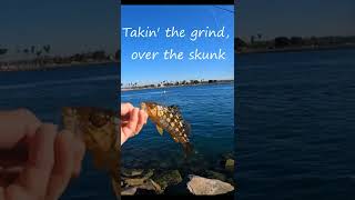 Fishing San Diego Bay: Fall is here - Nov '2022