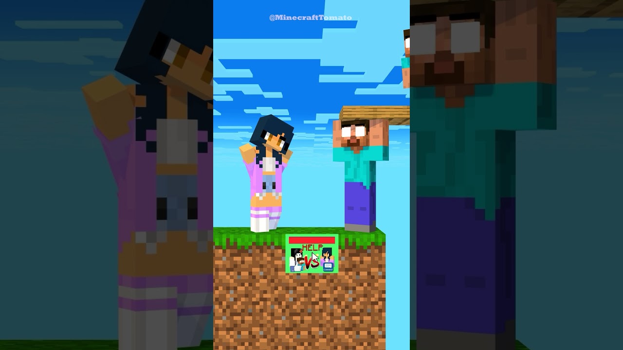 Family Challenge- Poor Steve Vs Rich Noob 