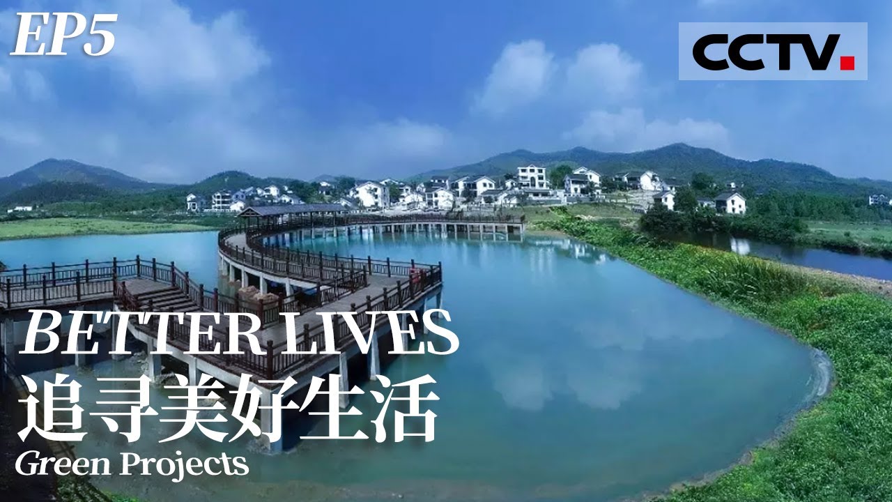 《追寻美好生活》第五集 绿色环保农家乐 看南京石塘村飞跃发展的十年！【CCTV纪录】