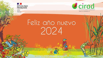 Feliz año nuevo 2024