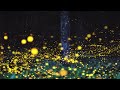 【新曲】「泣きむし蛍」/大川栄策 cover 文夫(聖風)