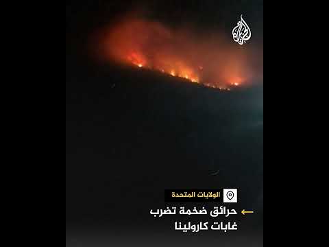 حرائق تضرب غابات كارولينا الأمريكية