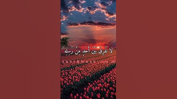 آمن الرسول بما أنزل إليه من ربه والمؤمنون 💚🌿 || سورة البقرة الآية {٢٨٥} || عبد الباسط عبد الصمد 💚💚