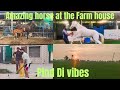 😍 After So Long Time - Pind Gerhi Route 🚜🐴punjabi vlogs in punjab