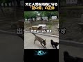 犬と人間を同時に守る「謎の棒」の正体が天才すぎた…?! #Shorts