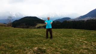 Qi gong with birds and quiet in Austria Mountains screenshot 1