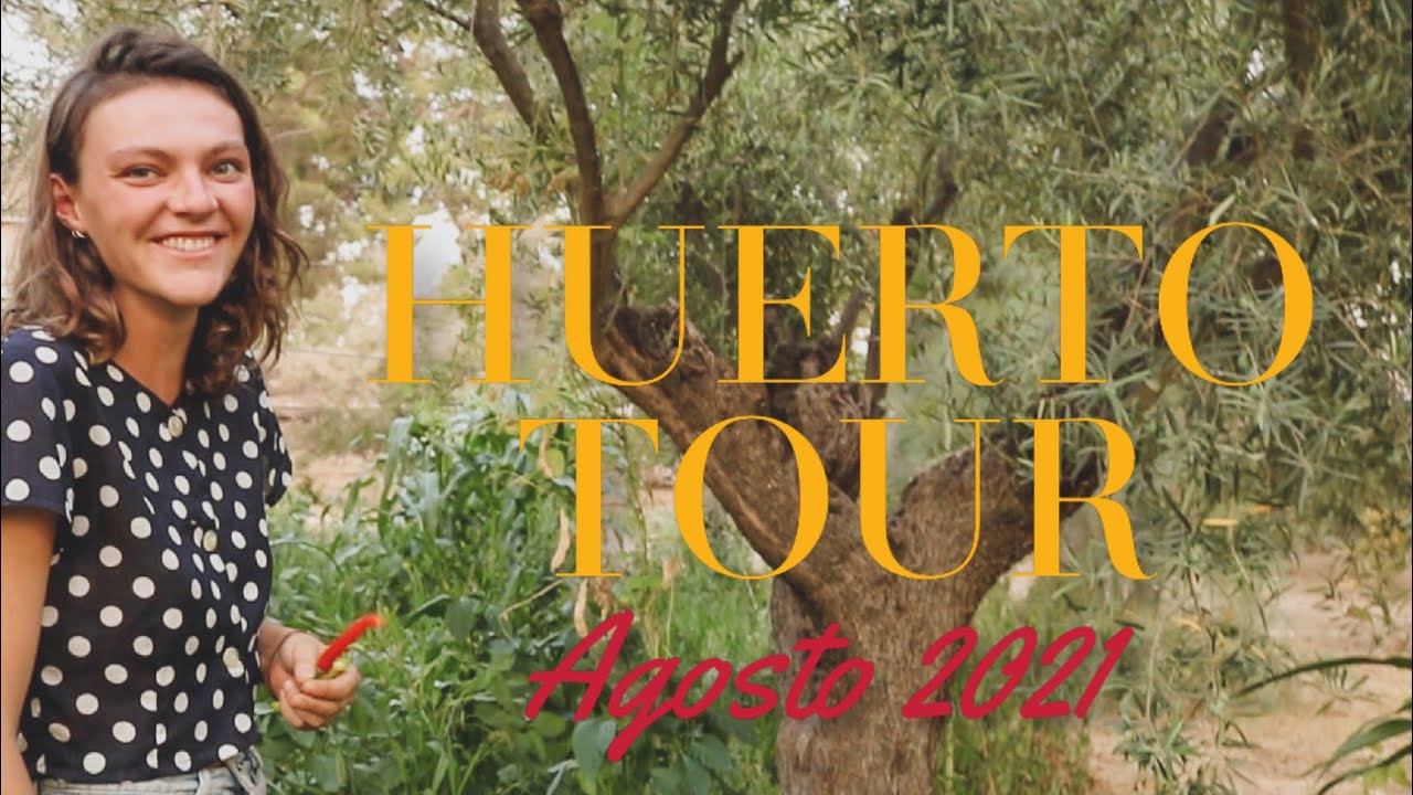 El Huerto en Agosto 2021- ¡Me Rindo! El Año que Viene Será Mejor - Huerto Tour
