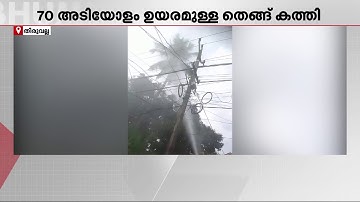 ഇടിമിന്നലേറ്റ് തെങ്ങിന് തീപിടിച്ചു; ഫയർഫോഴ്സ് എത്തി തീയണച്ചു | Lightning | Pathanamthitta