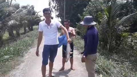 CÂU CÁ THIÊN NHIÊN||CÂU CÁ THIÊN NHIÊN Ở ĐIỂM CÂU  NÀY CÁ GÌ CŨNG KHỦNG||MINH ĐỨC MT