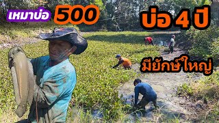 เหมาบ่อ 500บาท บ่อ4ปี มีตัวใหญ่ๆเพียบเลยจ้า | Ep.197