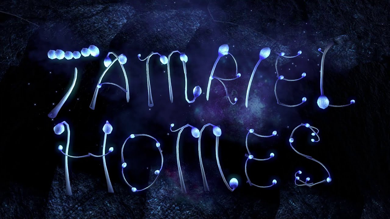 Tamriel Homes PCEU 