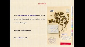 INTERNATIONAL CODE OF NOMENCLATURE: TYPIFICATION