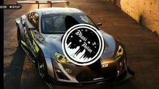 DISCO FILTER REMIX | TIK TOK