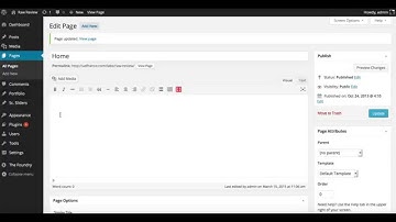 Raw WordPress Theme - Homepage Slider Background Video