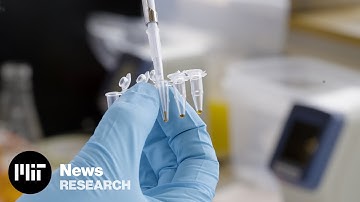 Seeing the 3D genome like never before