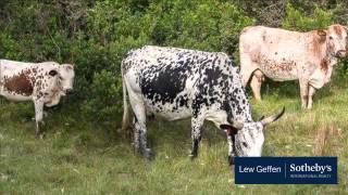 4 Bedroom Farm For Sale in Bathurst, South Africa for ZAR 5,300,000...