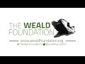 The weald foundation  about us