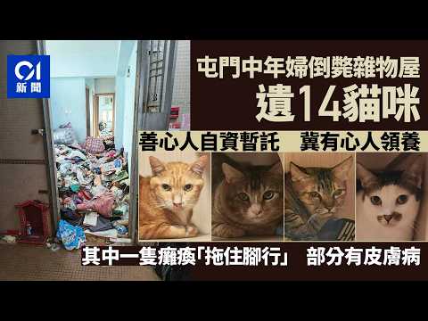 【01秒看新聞】屯門中年婦倒斃雜物屋 遺14貓獲善心人自資暫託 冀有心人領養｜01新聞｜寵物｜愛協｜貓義工｜救貓｜