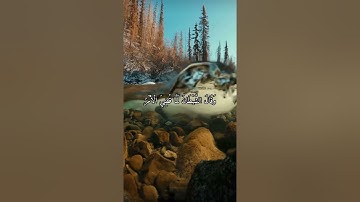 واتس اب قران كريم القارئ ياسر دوسري (سوره ابراهيم)