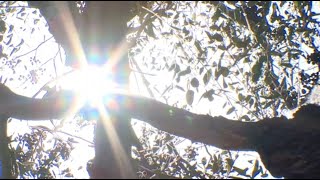 Rare winter Heat Advisory in San Diego breaks records
