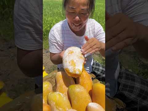Harvesting Mengo Fruit Natural 2025 Fruit Mengo Natural Satisfying Shorts 2025 