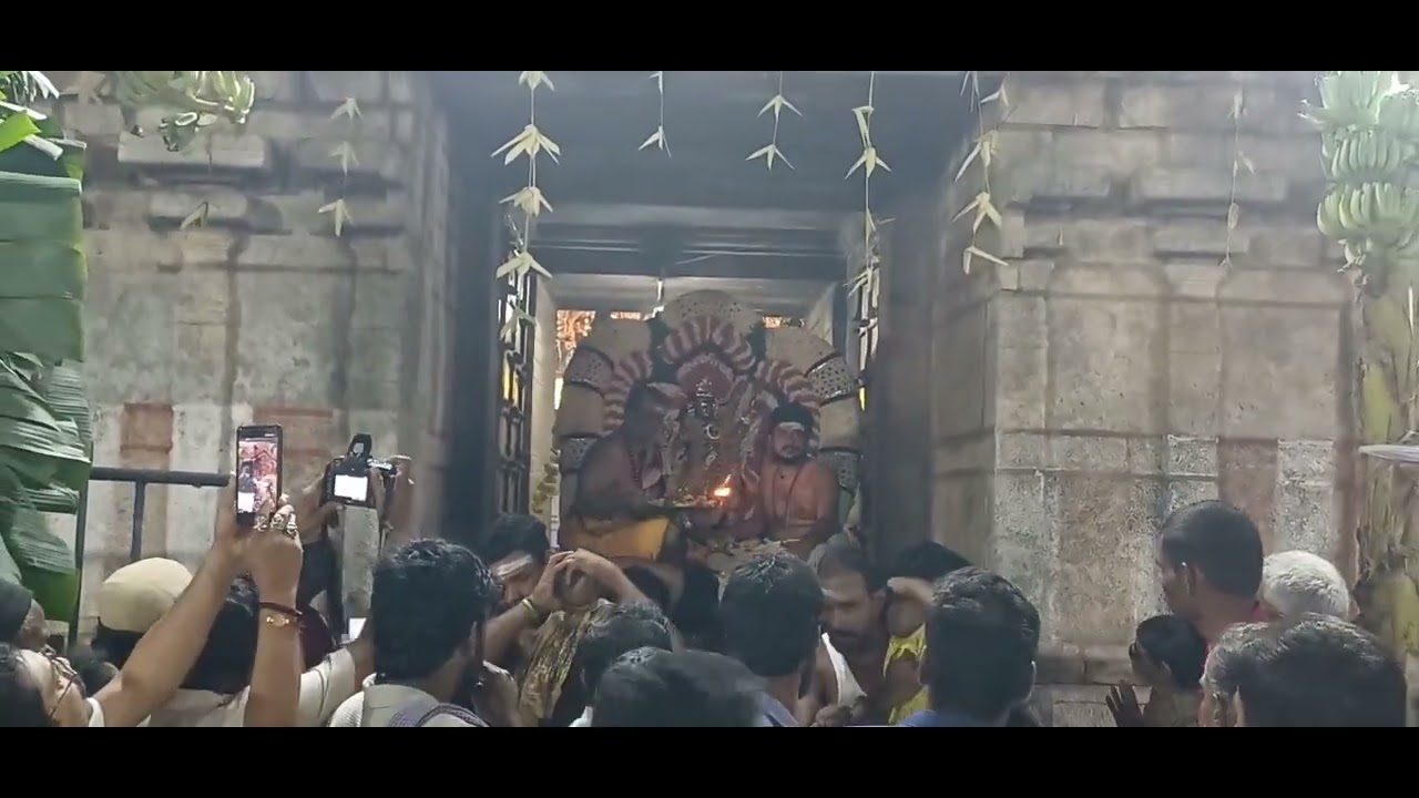 திருவாலங்காடு ஆருத்ரா தரிசனம் :  வடரண்யேஸ்வரர் 