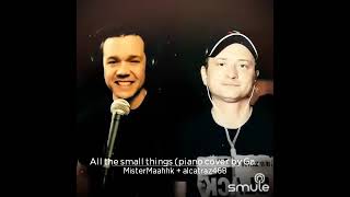 All the small things (Blink-182) Дуэт с MisterMaahhk.