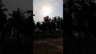 pawar star Pavan kalya garu 🚁 helicopter  landing view at malikipuram
