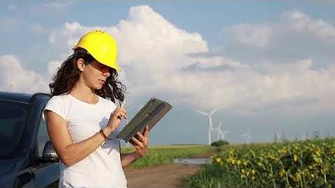 What is Environmental Field Data