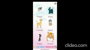 Pets Communicator Android App Demo Video For Mid Term