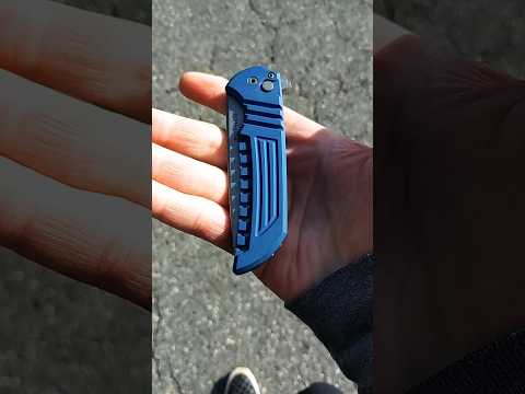 Walk n Flick - Blue Mordax
