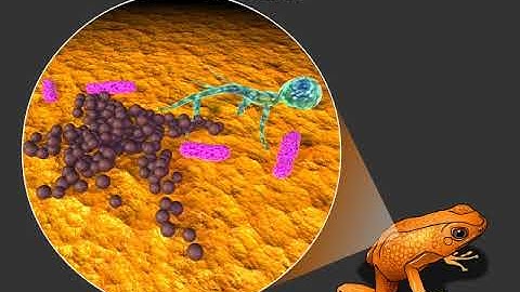 NextGen DNA Sequencing: A Look into Microscopic Worlds (Life Sciences Outreach, Harvard University)