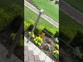 Lotus Temple Delhi #trending #viral #shorts #delhi #vlog #viralvideo #youtubeshorts