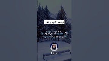 تلاوة خاشعة ومؤثرة #allah #fff #fypシ #instagram #tiktokvideo #omletarcade #reels #pakistan #religio