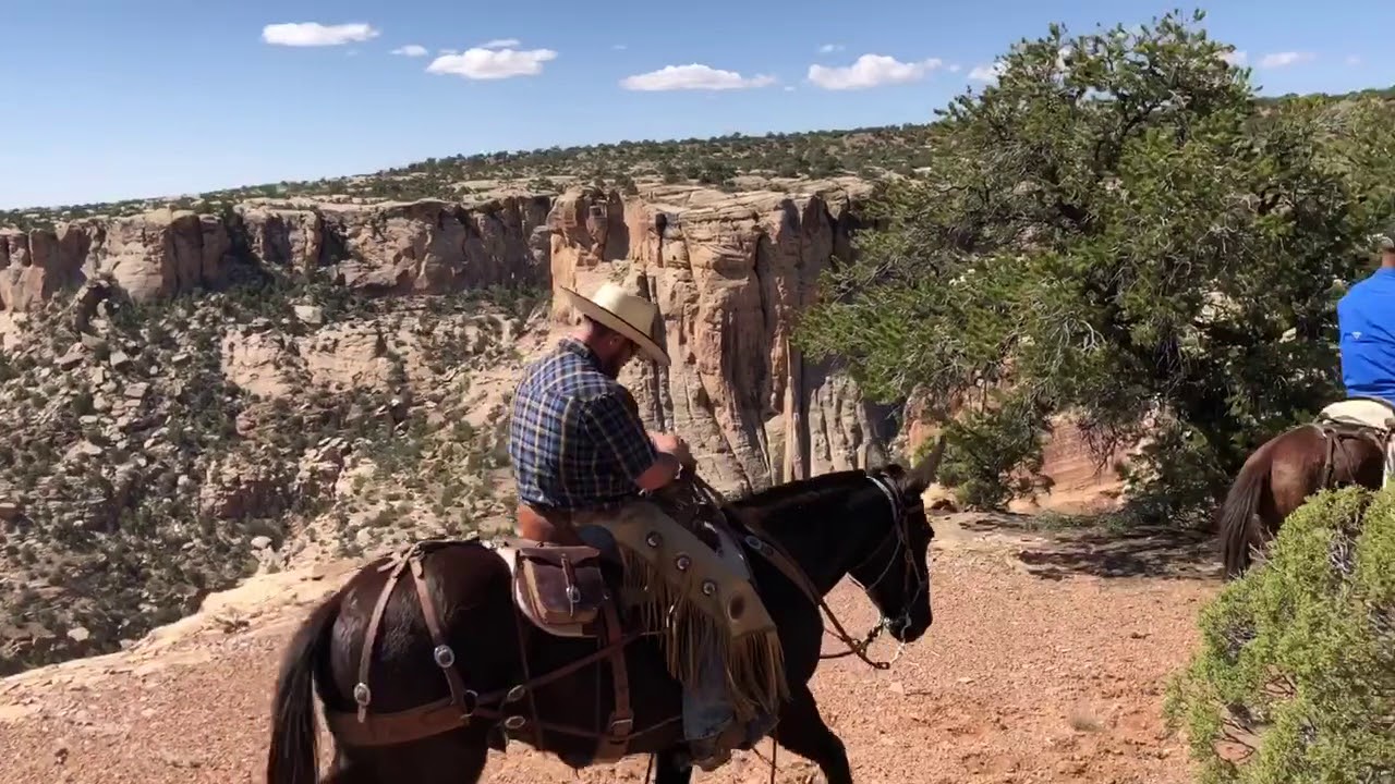2018 rock crawling clinic with Ty Evans