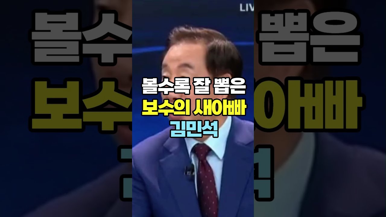 볼수록 잘 뽑은 보수의 새아빠 김민석