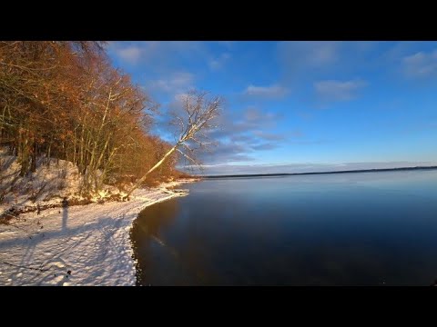 Video: Jak umýt bloodworms? Metody praní