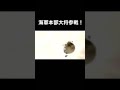 【スマブラSP】海軍本部大将参戦！！
