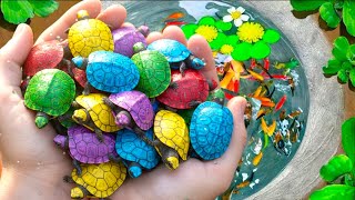 Surprise Colorful Aquarium Fish In Egg Surprise and Small Pond, baby turtle,gloofish,baby goldfish🐡🐡